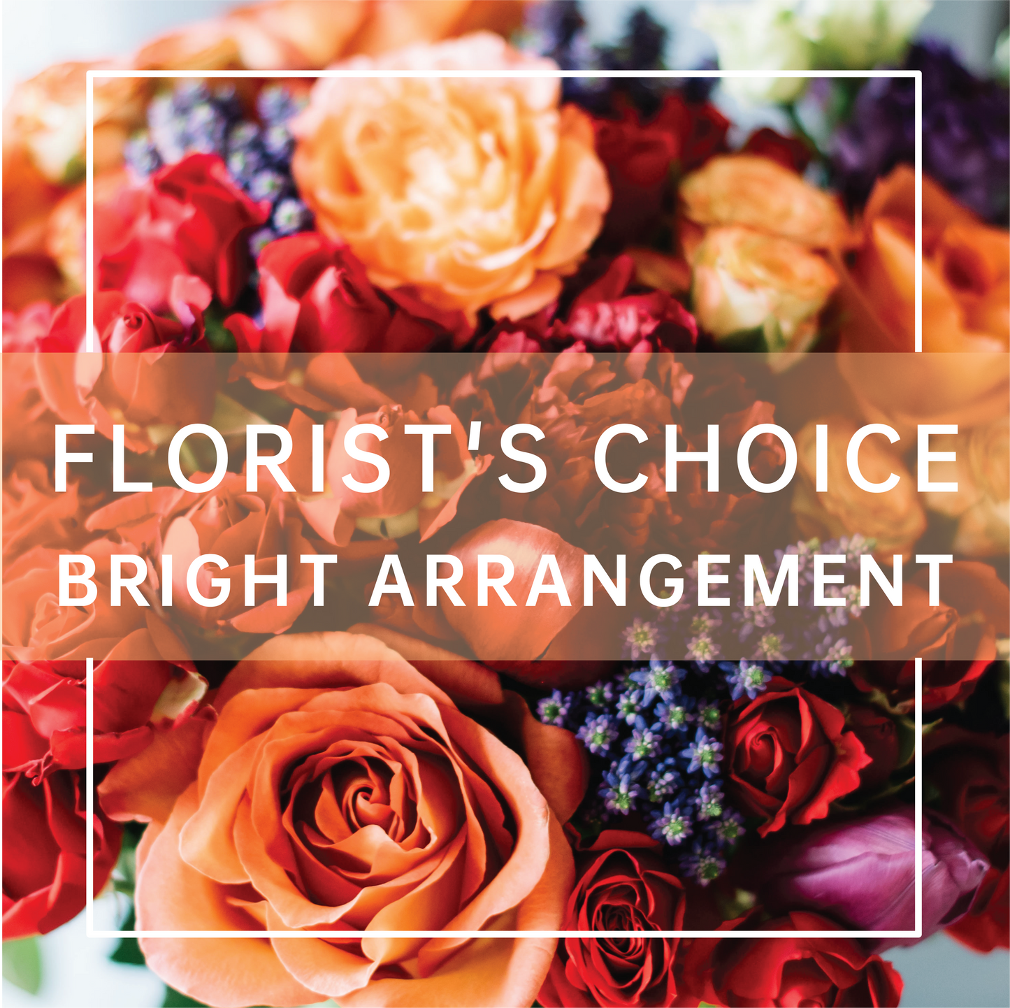Bright Arrangement - Florist's Choice