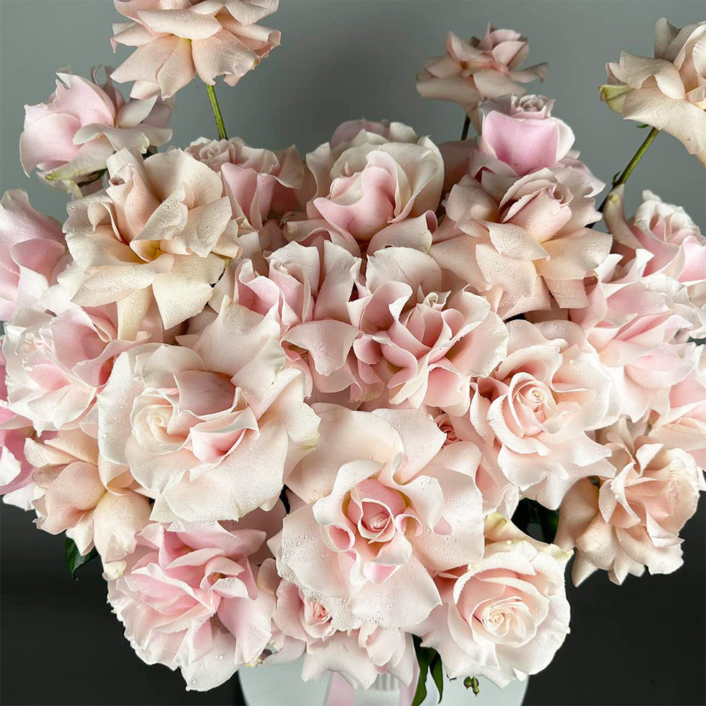 24 Reflexed Pale Pink Roses - Ceramic Pot